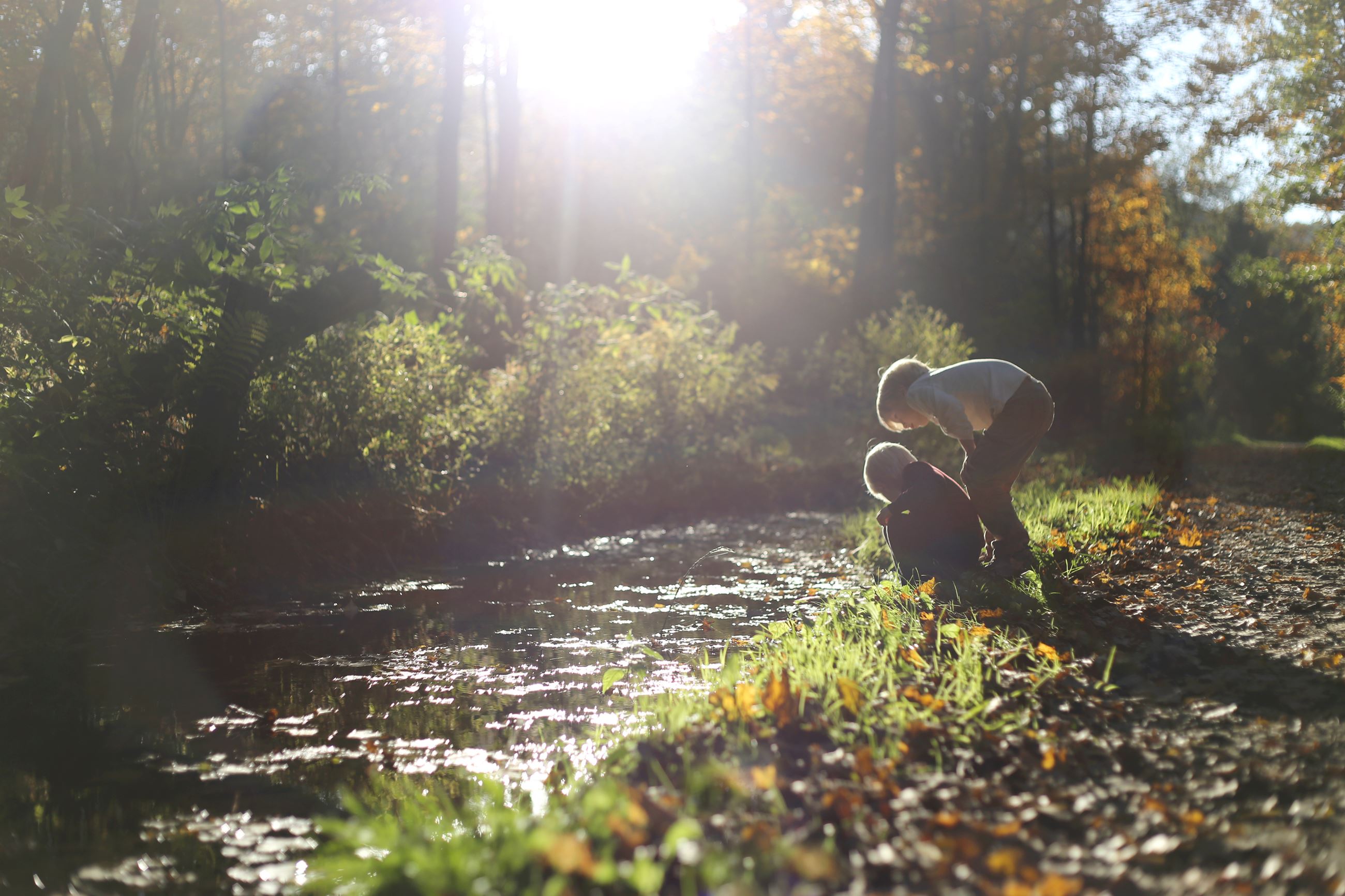 Want for My Kids Is An Ordinary Life